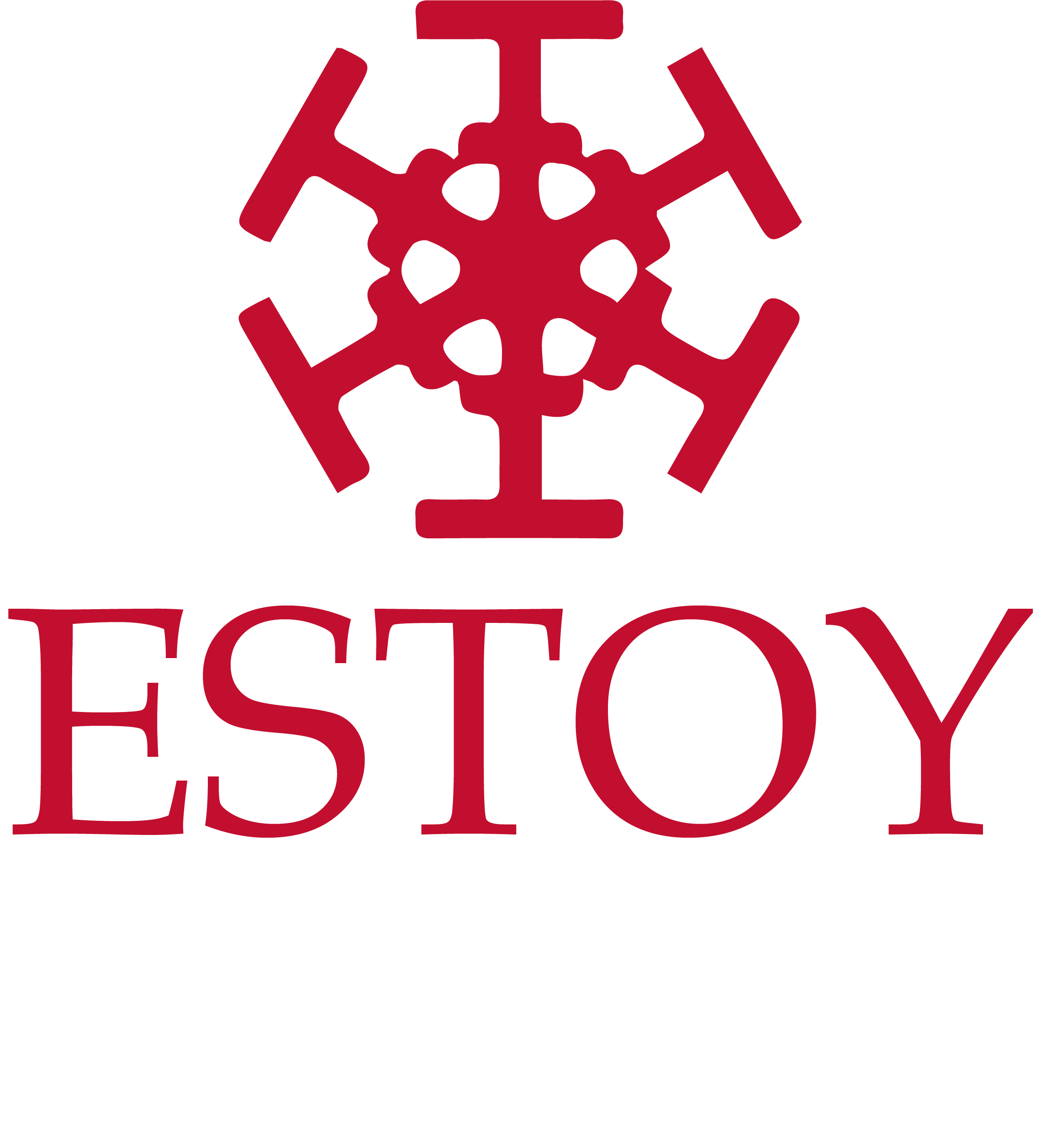 Logo Fundación